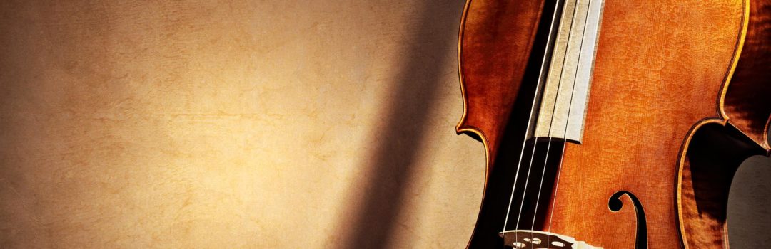 Cello Back Silhouette